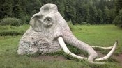 Mamut